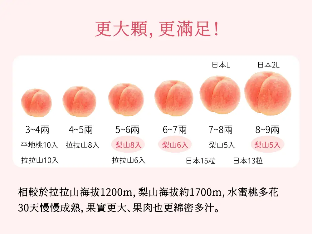 水蜜桃装盒